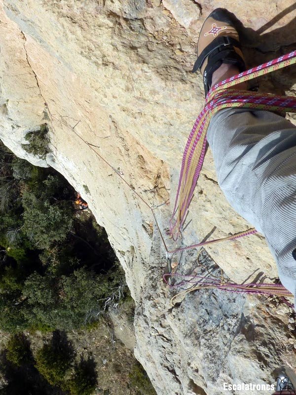 Pujat dalt de l'arbre del L1